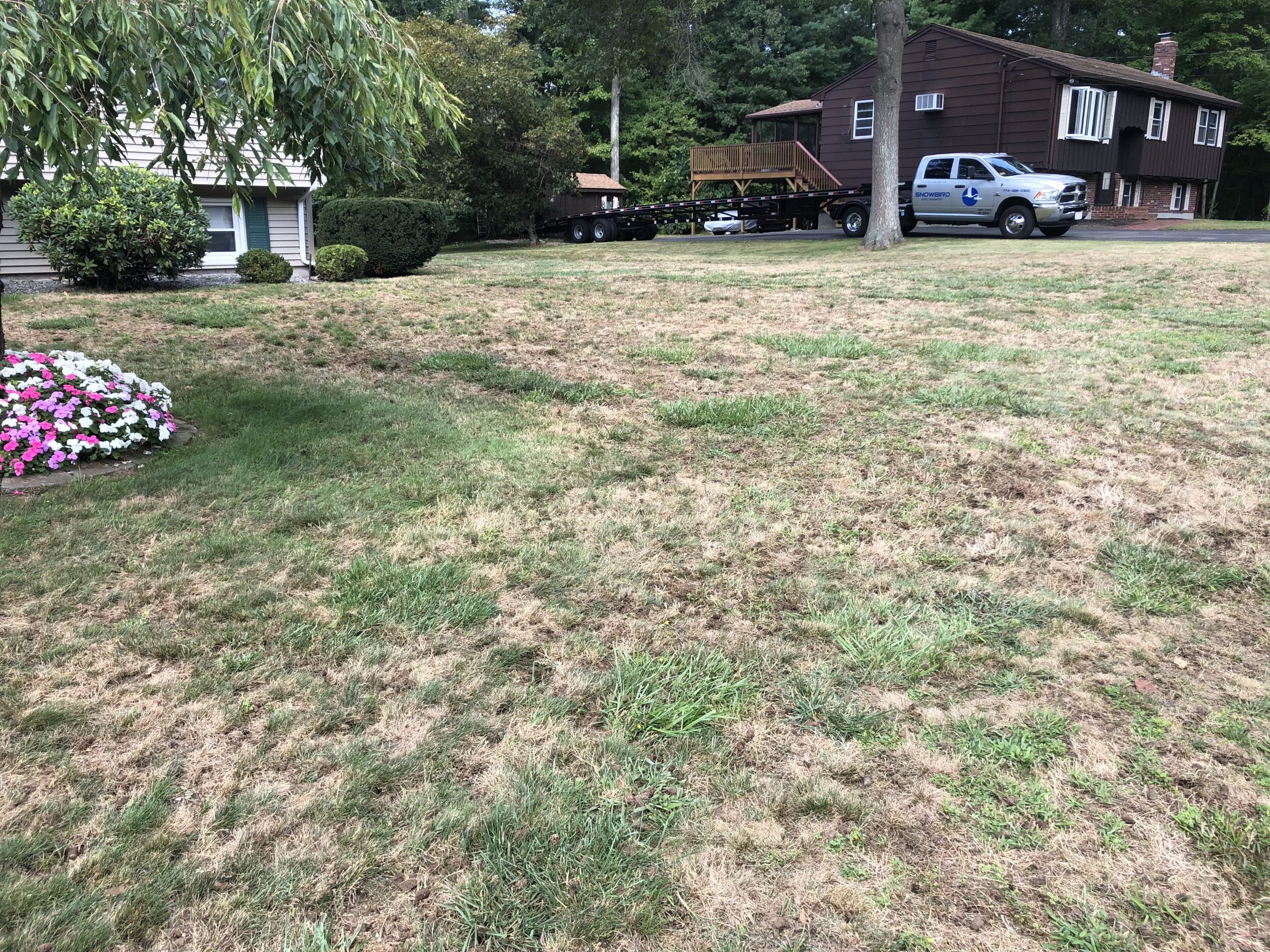 Our Services | Lawn Fertilizer Company Bridgewater Ma | Steve's Lawn Care