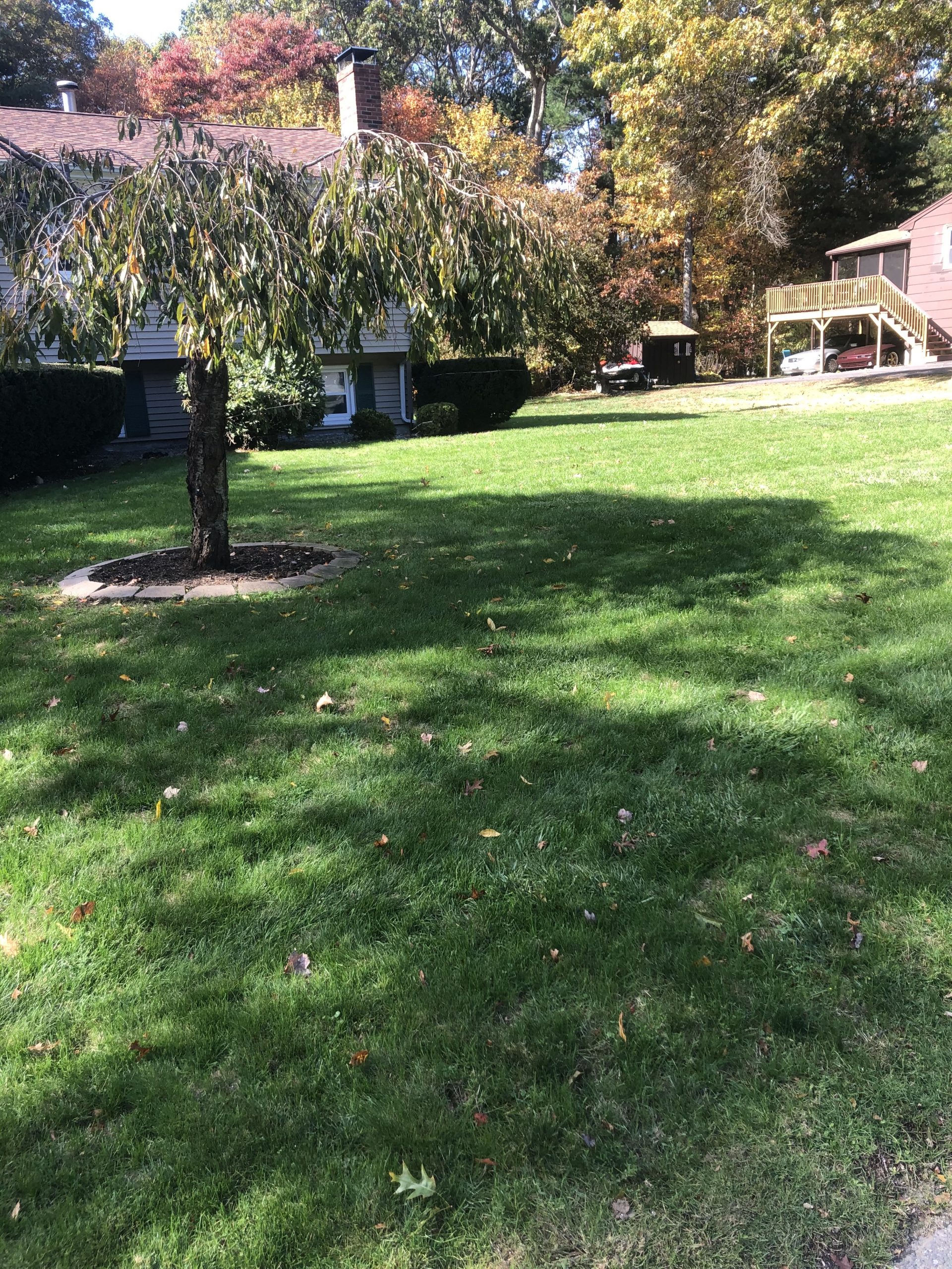 Lawn Aeration Service Near Me | Steve's Lawn Care