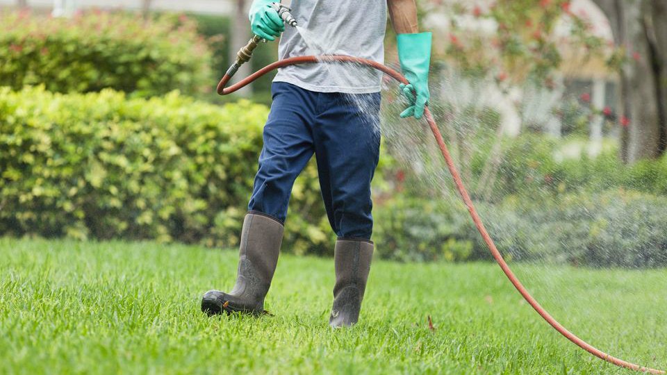 Mosquito and Tick Control Services Near Me | Steve's Lawn Care
